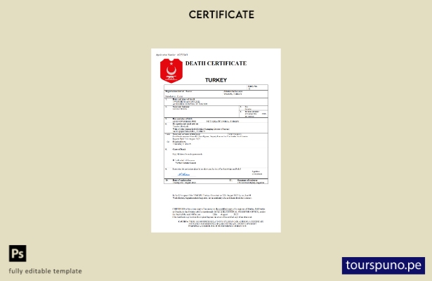 listo para imprimir Plantilla de plantilla de Word y PDF del certificado de de 1
